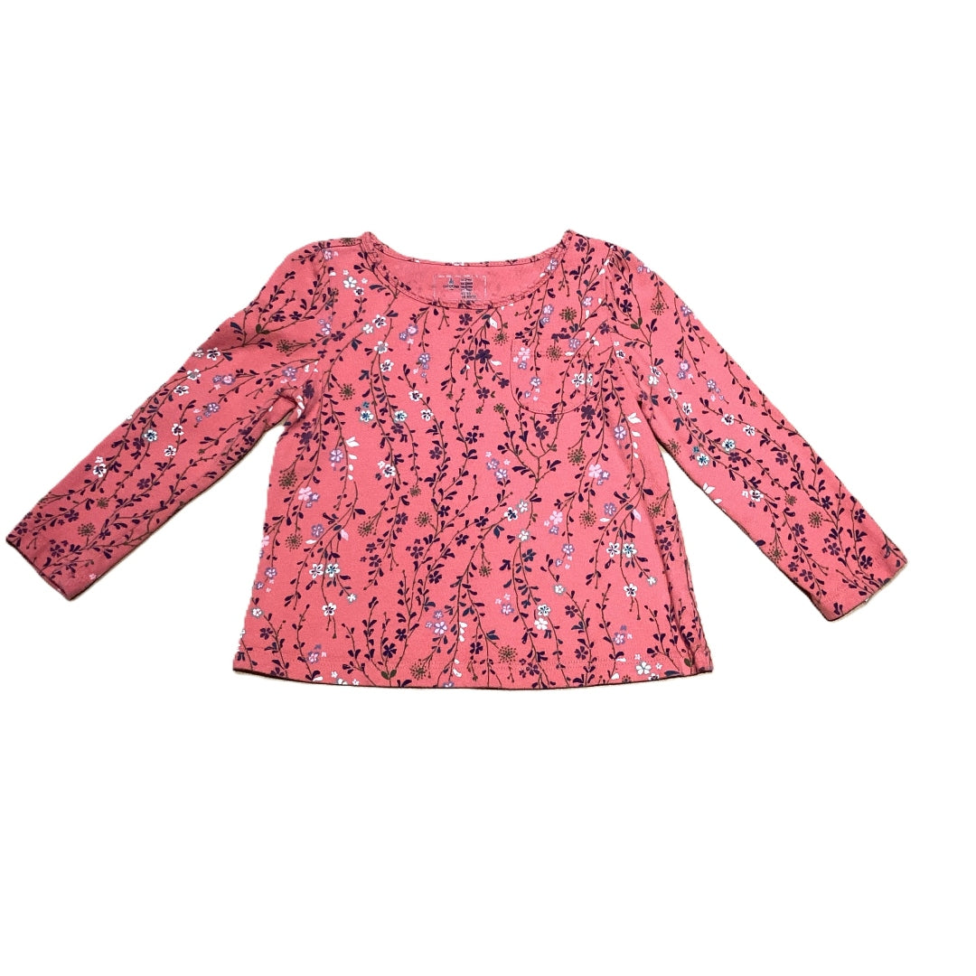 2T Girls Baby Gap Long Sleeve Shirt