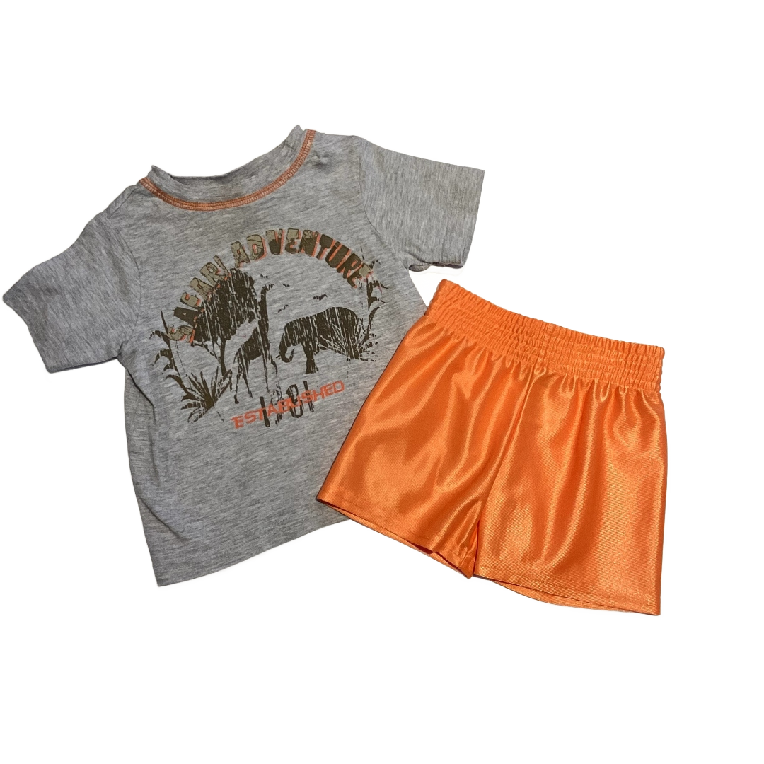 9-12 Boys Boys Rock Gray Safari T-Shirt with Animals and Orange Stitching, Garanimals Orange Athletic Shorts