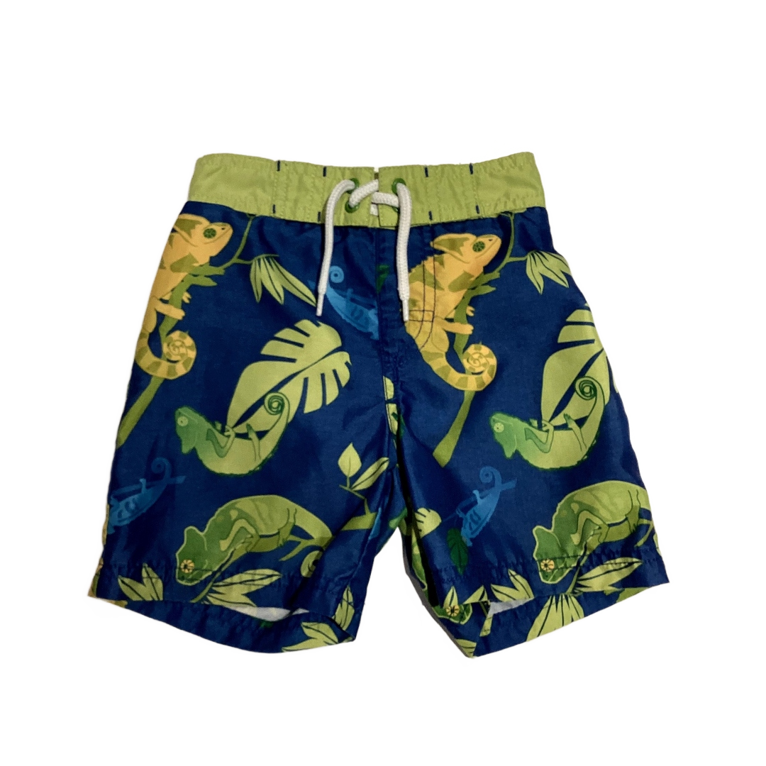 12-18 Boys Gymboree Dusty Blue Chameleon Swim Trunks