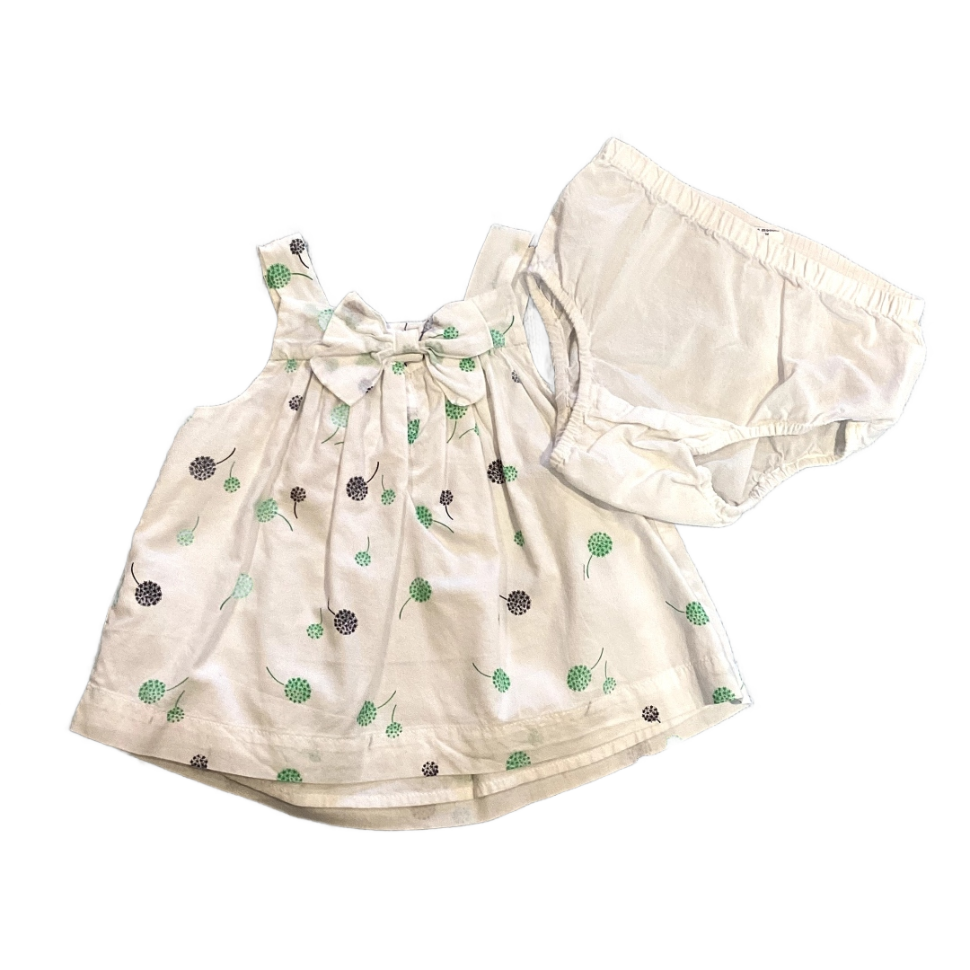 6-12 Girls Baby Gap White, Green, and Navy Blue Dandelion Printed Top w/Matching Bloomers
