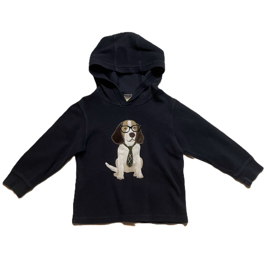 3T Boys Gymboree Hooded Smart Dog Sweatshirt