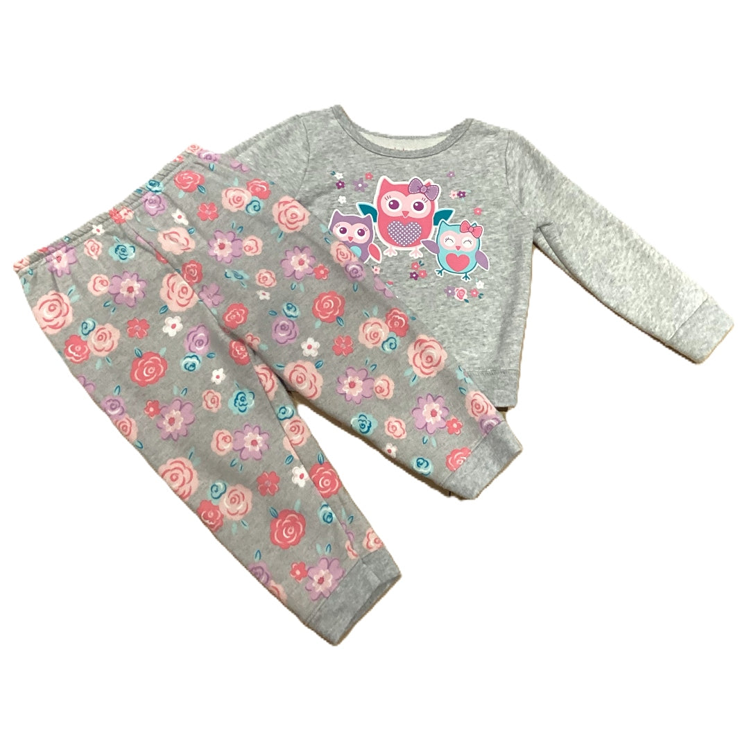 18-24 Girls Garanimals Pastel Owls Sweatset