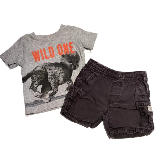 9-12 Boys Carter's Gray Wild One T-Shirt with Big Cat, Children's Place Dark Gray Cargo Shorts