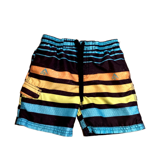 3T Boys Kanu Black/Turquoise Striped Swim Trunks