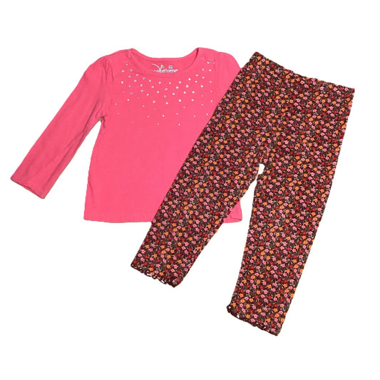 2T Girls Jumping Beans Pink Long Sleeve Shirt with Gems, Gymboree Floral Leggings